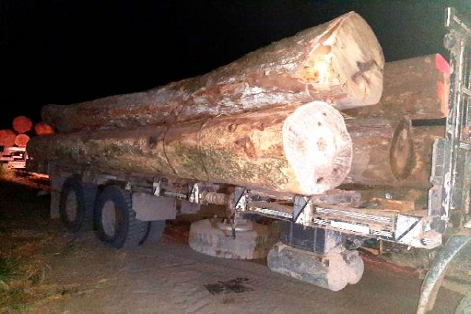 Três homens são presos em flagrante por transporte ilegal de madeiras