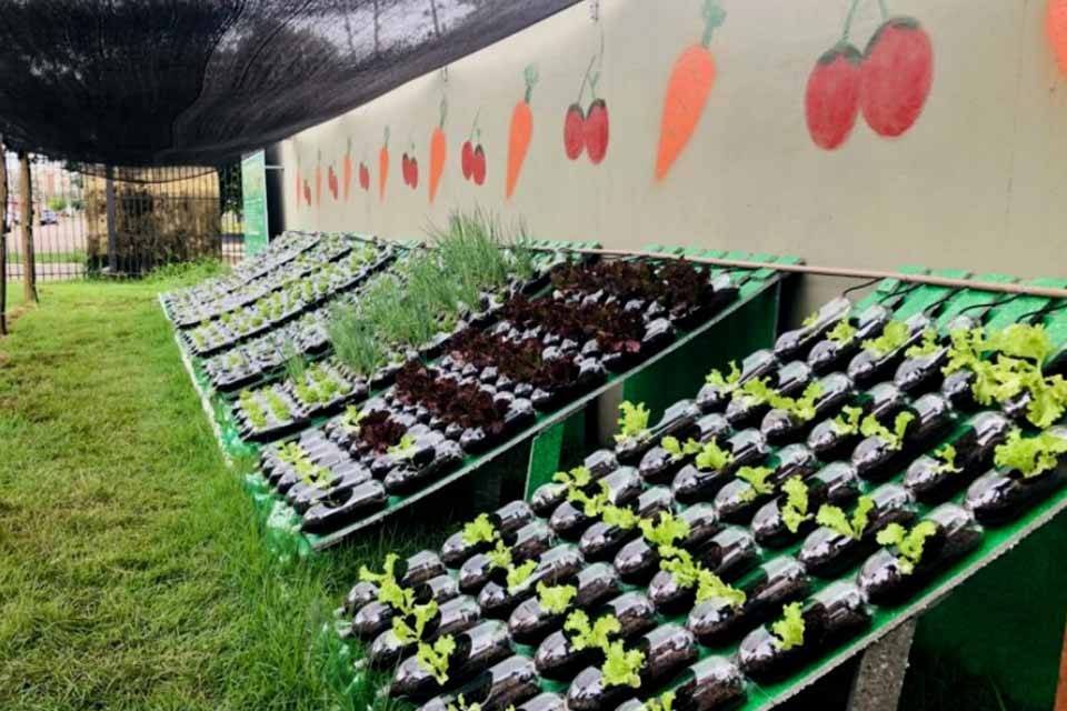 Educação Profissional amplia ações de sustentabilidade com inauguração de horta hidropônica