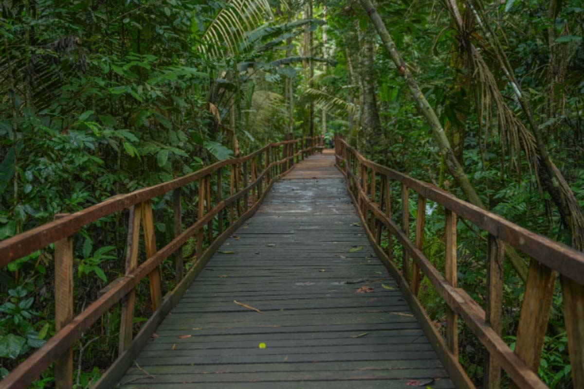 Nova gestão da Sema mantém compromisso com sustentabilidade e qualidade de vida