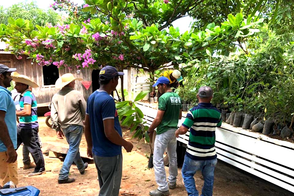 Prefeitura promove ação de reflorestamento e recupera nascentes na Área Rural