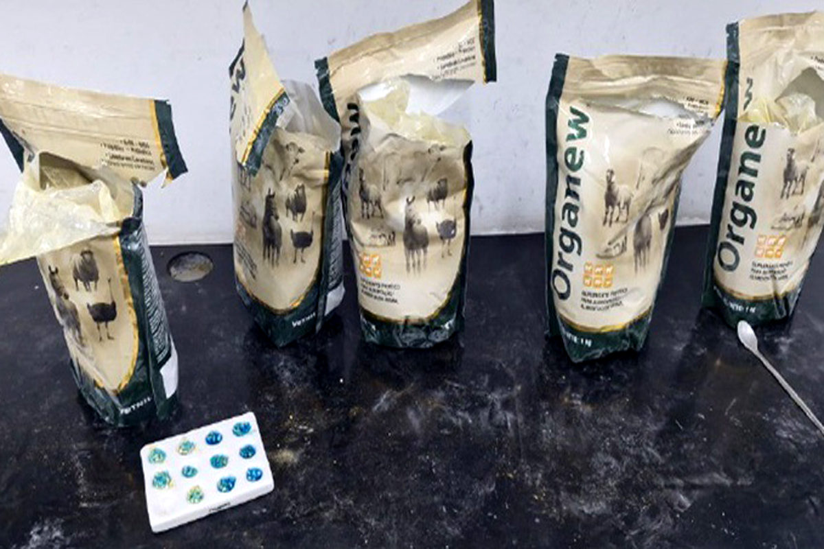 PF combate o tráfico interestadual de cocaína por via postal em Rondônia