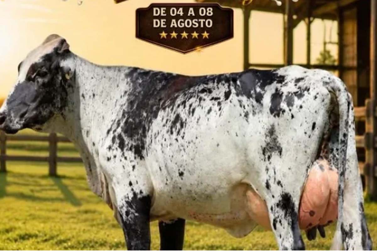 Concurso leiteiro da 37ª Expoagro terá R$ 25 mil em premiação em Rolim de Moura