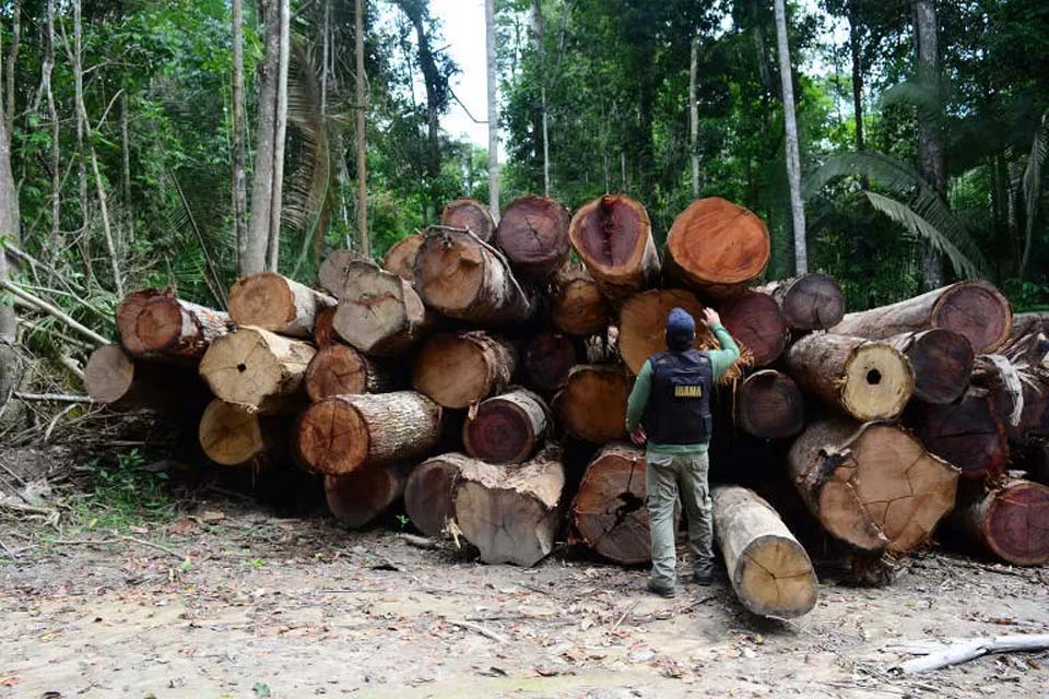 Gilmar Mendes nega HC a acusado de exploração ilegal de madeira em Rondônia