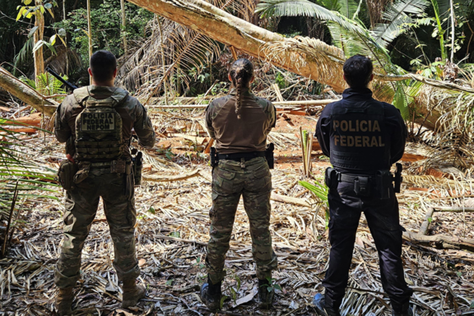 PF deflagra operação contra crimes ambientais em Terra Indígena