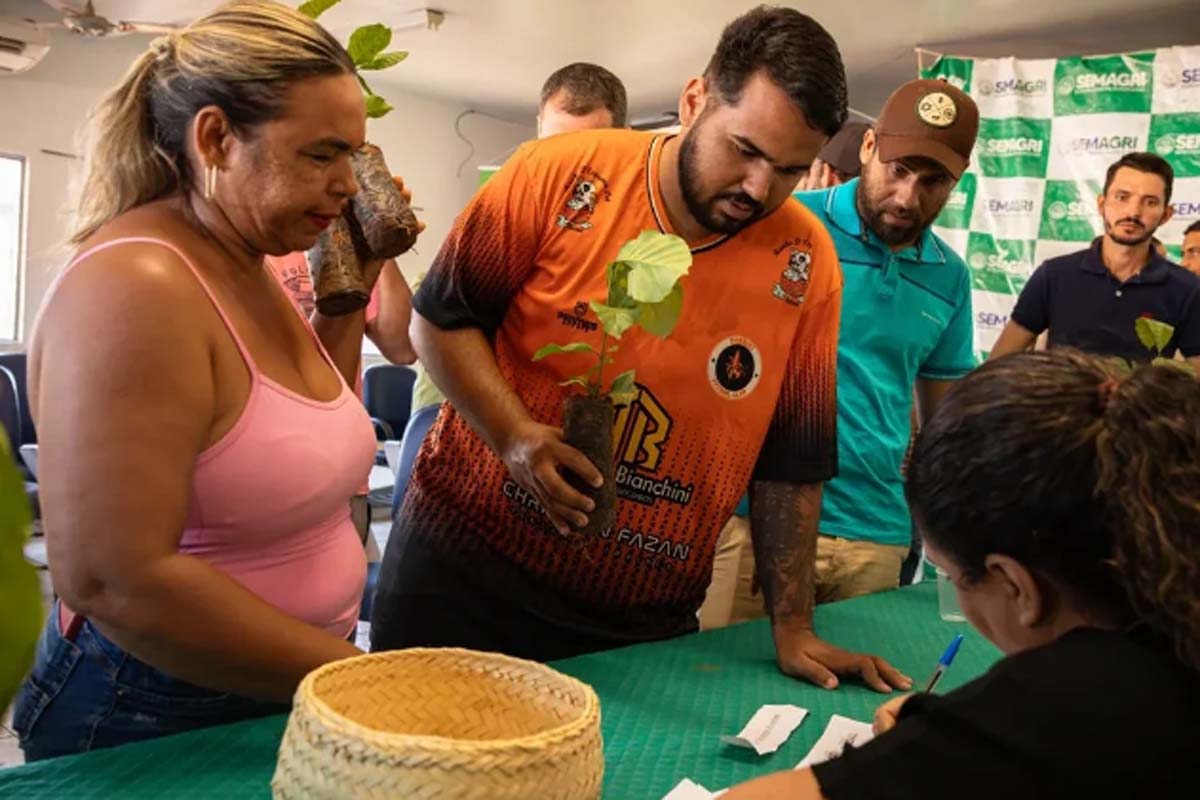 Prefeitura lança programa Cacoal + Agricultura e inicia entrega de 200 mil mudas de café clonal a produtores rurais