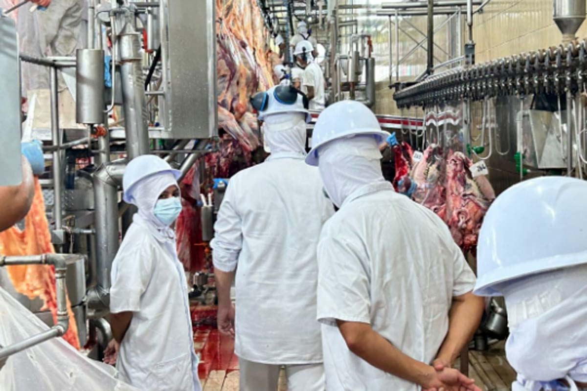 Médicos veterinários do SIM reforçam a segurança dos alimentos em Porto Velho; Trabalho da Semagric garante fiscalização