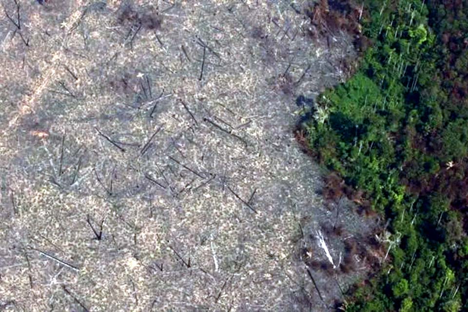 Área com alerta de desmatamento na Amazônia sobe 85% em 2019 ante 2018