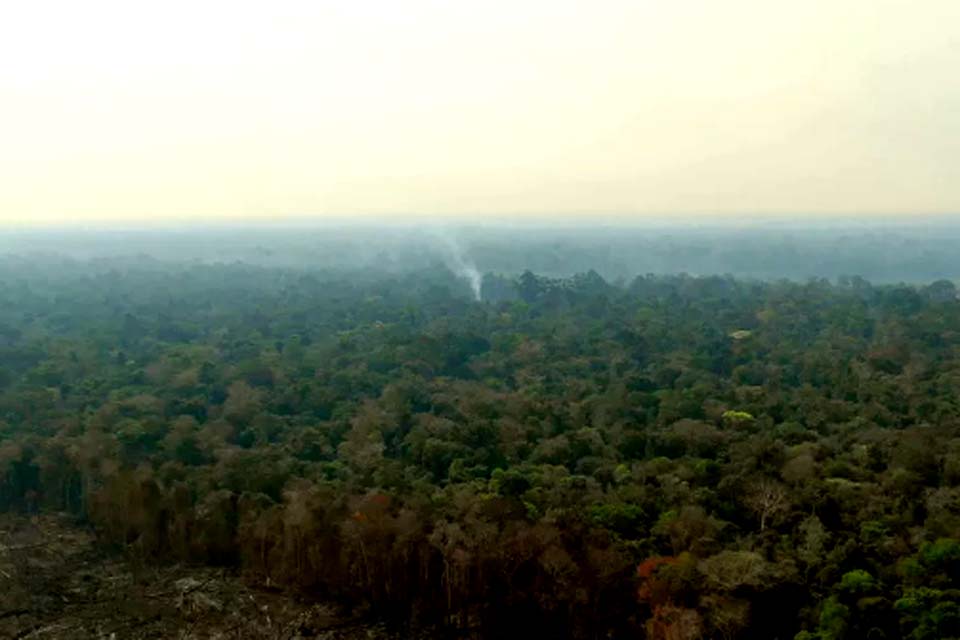 MPF recomenda que Funai e Sesai façam barreira sanitária para proteger indígenas isolados em Rondônia
