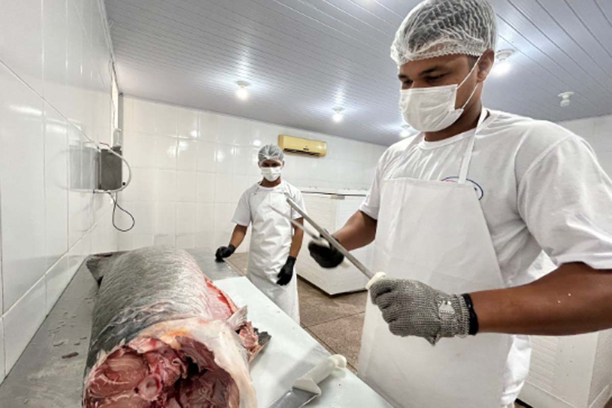 Do SIM para o Brasil: regularização abre mercado e fortalece agroindústrias de PVH