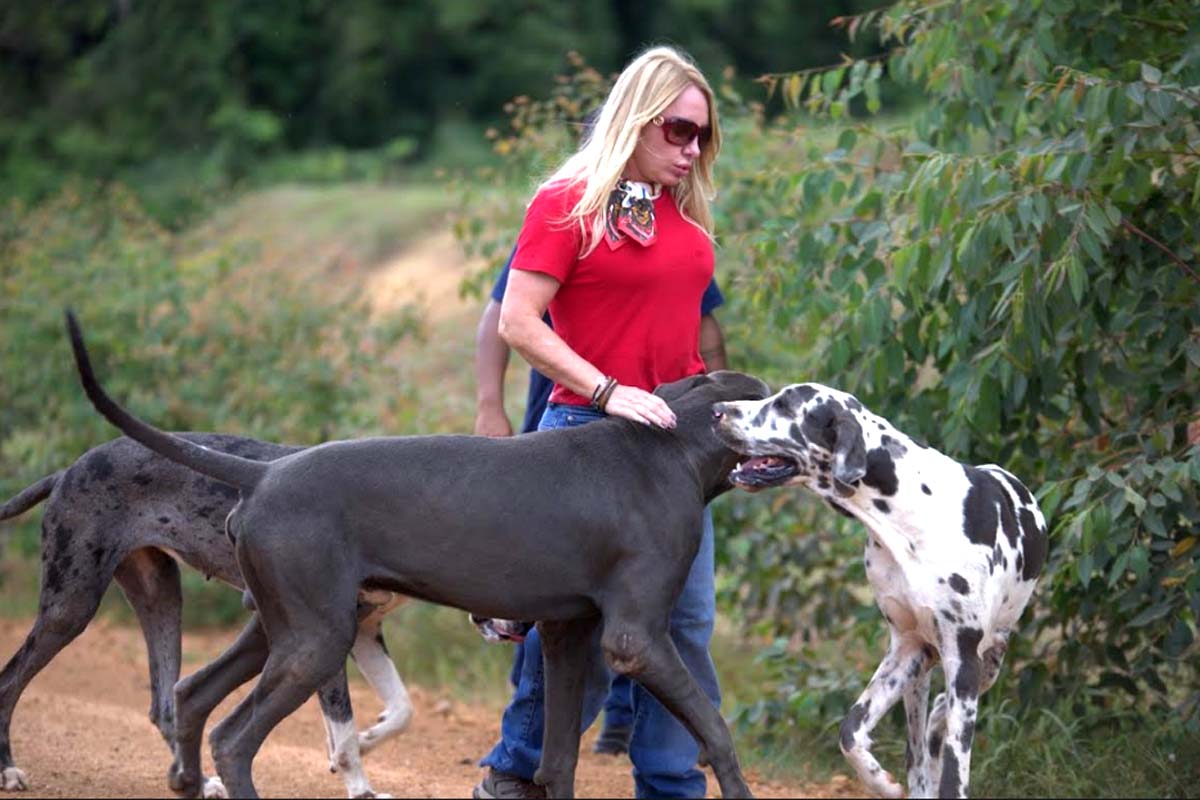 Ieda Chaves convoca população para debate sobre proteção animal em Rondônia na quinta (16)