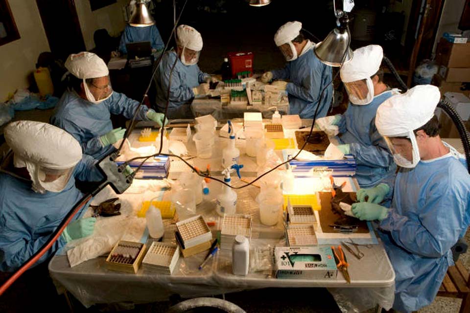 OMS declara finalizado o primeiro e único caso do vírus de Marburgo na Guiné