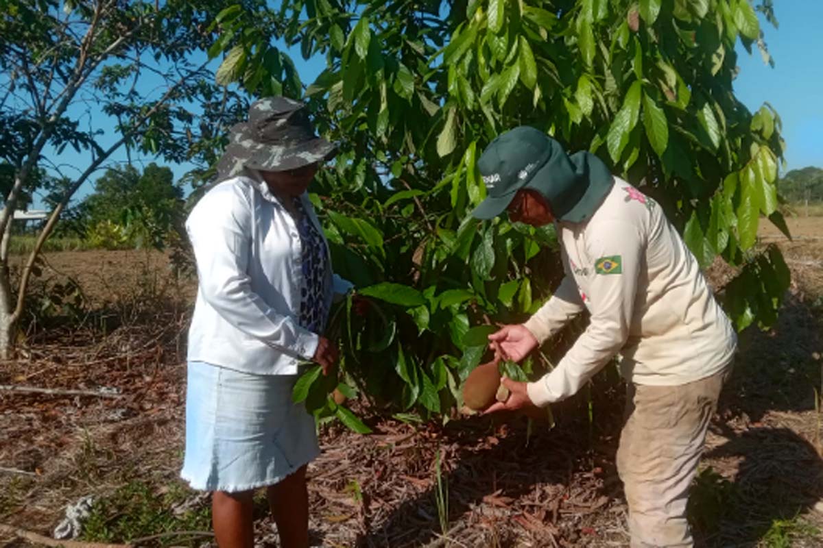 Pais que cultivam o futuro, histórias de amor, trabalho e dedicação no campo
