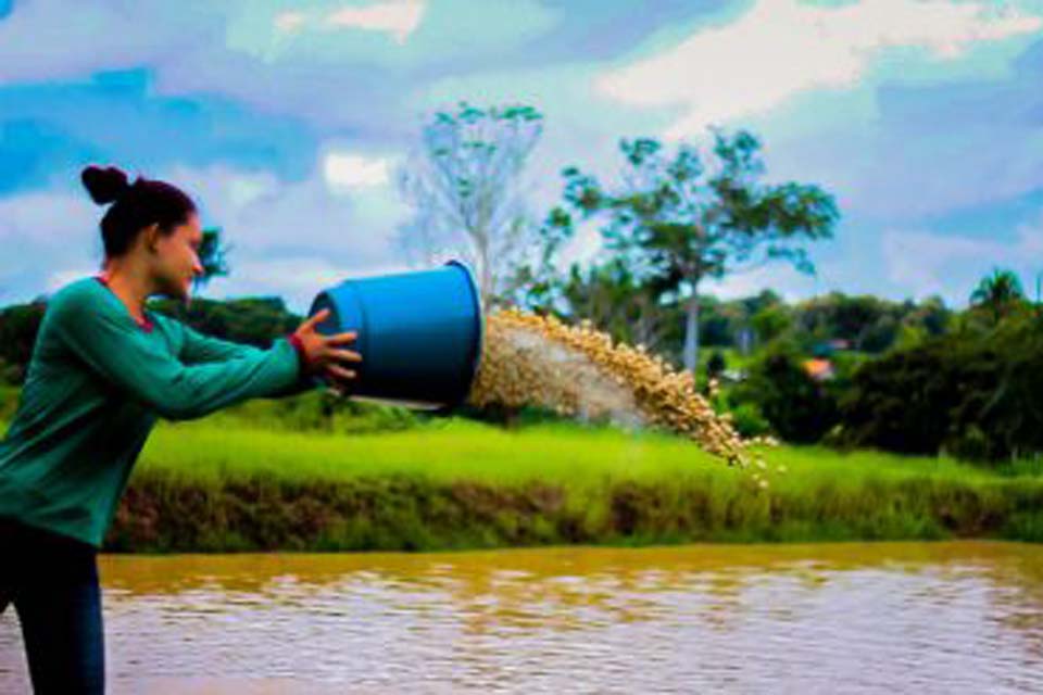 Piscicultores discutem fortalecimento do setor em cinco cidades da região