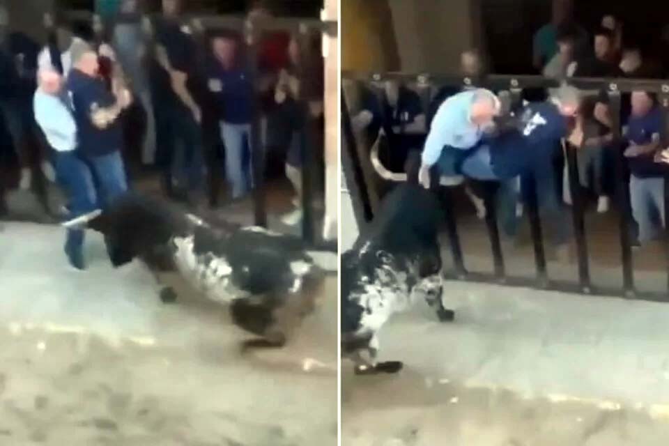 Ataque de touro na Espanha deixa um homem morto e outro ferido