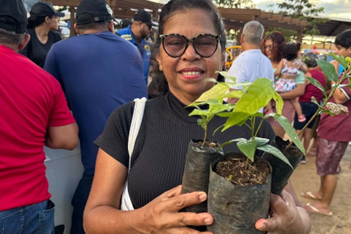 Semana do Meio Ambiente terá oficinas, ações educativas e distribuição de mudas