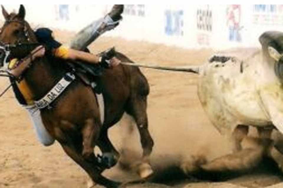 Vaquejada em Colorado do Oeste movimenta economia e tradição