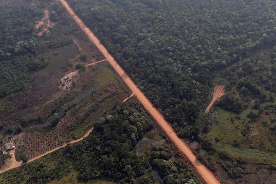 BR-319, o fim da Amazônia