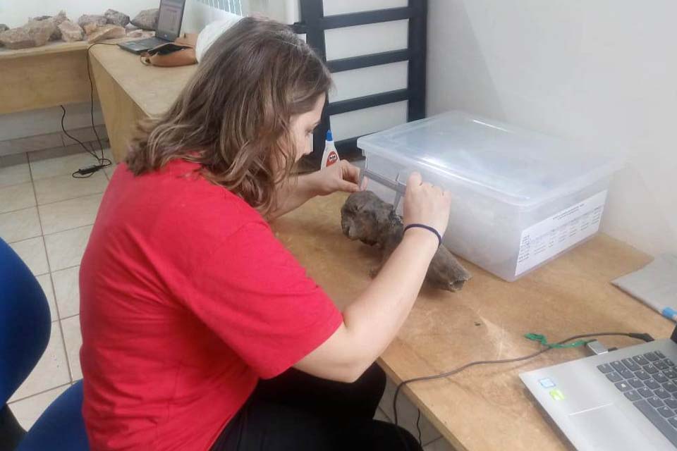 Pesquisas com tatu gigante no Museu da Memória projetam Rondônia no cenário dos fósseis brasileiros