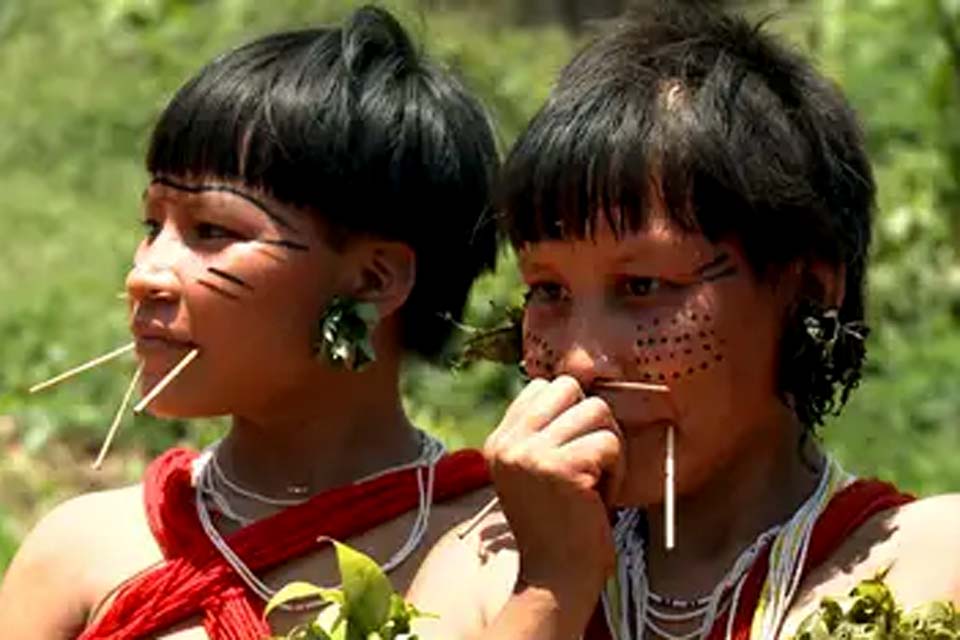 Organização denuncia invasão em área de indígenas isolados