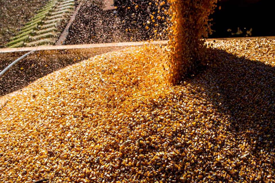 Exportações do agronegócio batem recorde em janeiro