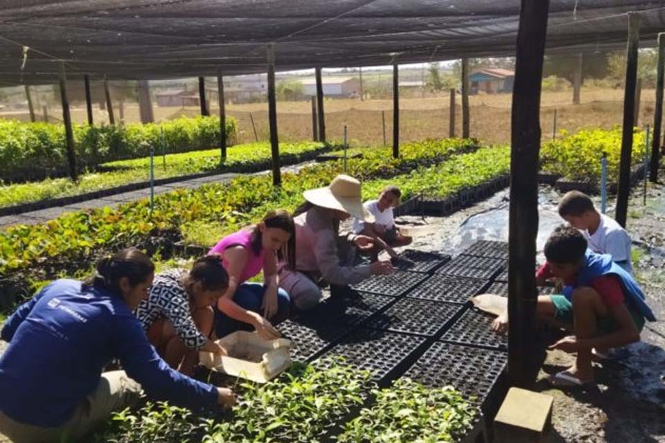 Crianças atendidas pelo Serviço de Fortalecimento de vínculo visitam Viveiro Cidadão