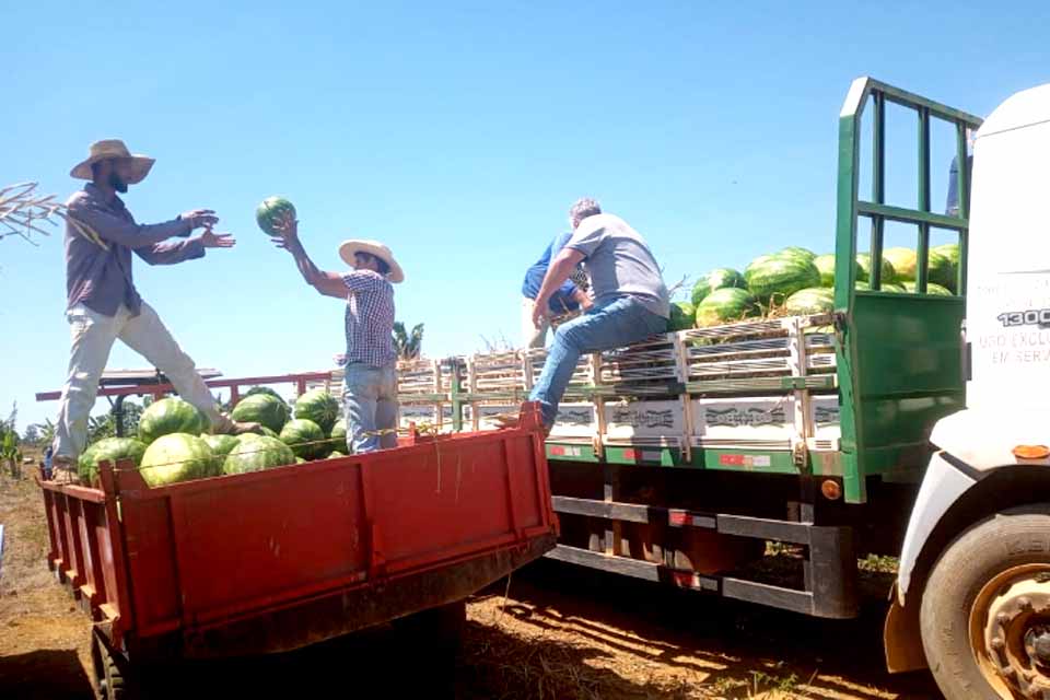 Transporte da Produção Rural facilita escoamento e garante economia para agricultores de Rio Pardo