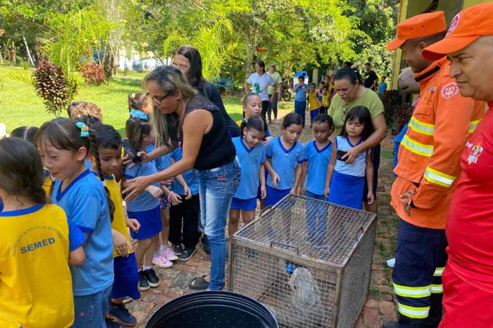Bombeiros soltam animais silvestres no Parque Natural de Porto Velho