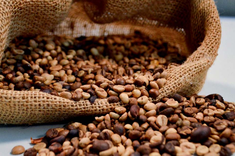 Seagri firma convênio de mais de R$ 6,2 milhões para fortalecer a cafeicultura em Rondônia