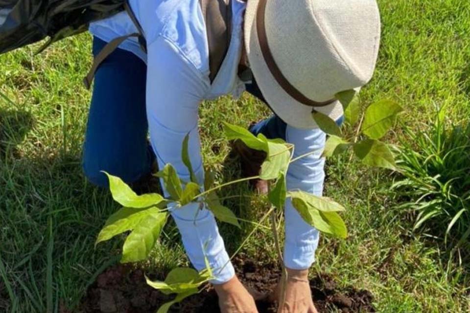 Secretaria de Meio Ambiente celebra o Dia da Árvore