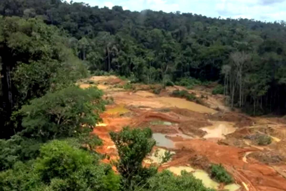 STF determina plano para retirada de garimpo ilegal em território Cinta Larga 
