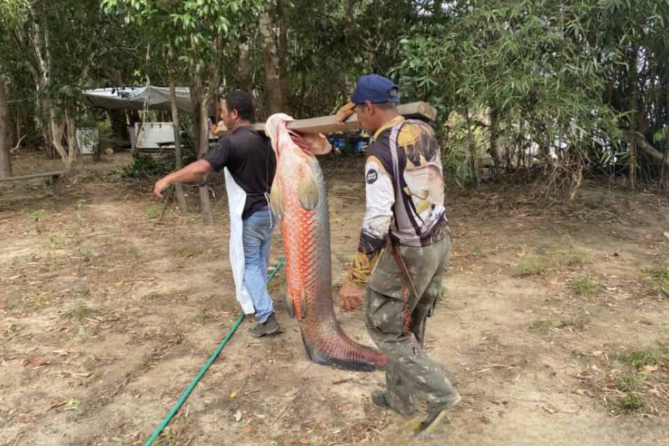 Ações de manejo e erradicação do pirarucu são reforçadas pelo governo de RO na Reserva Extrativista Pedras Negras