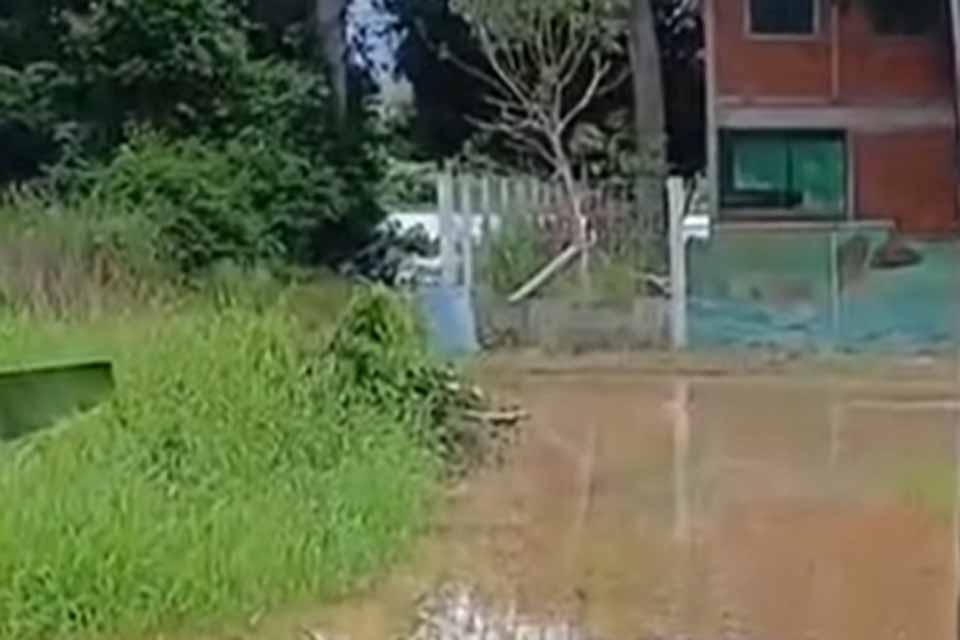 Enchente no Rio Guaporé alaga Vila Neide e preocupa moradores