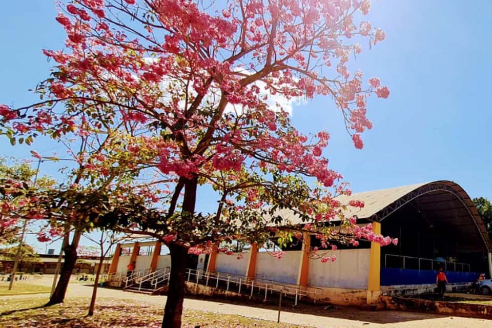 Porto velho: Esporte municipal anuncia retorno de atividades e calendário de competições