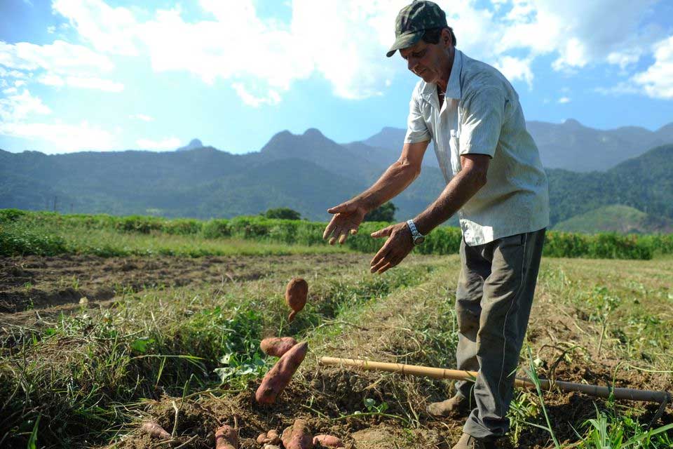 R$ 12 bilhões em crédito: BNDES apoia agricultores prejudicados por perdas de safra