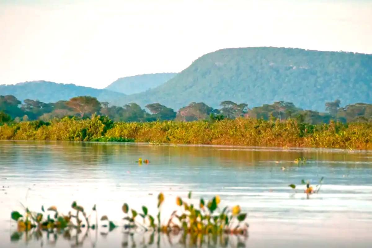 Cerrado brasileiro perdeu 13,9 milhões de hectares de margens de rios