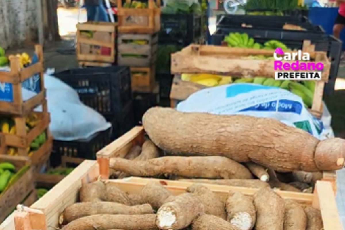 Prefeitura realiza entrega alimentos para famílias por meio do cadastro único intinerante