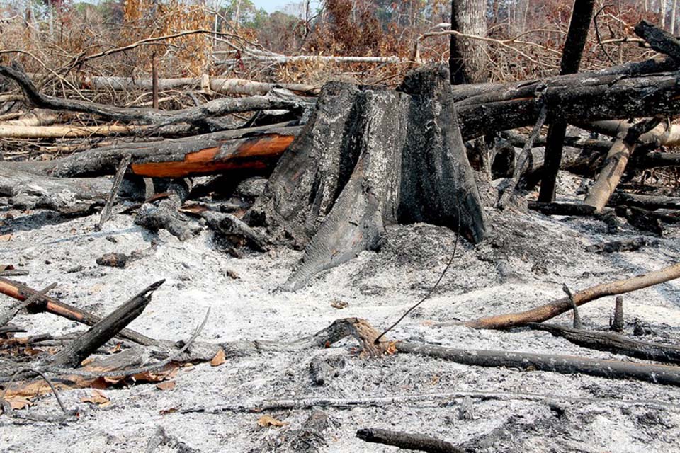 Sedam destaca atuação do Estado em prol do combate a queimadas ilegais e focos de incêndio