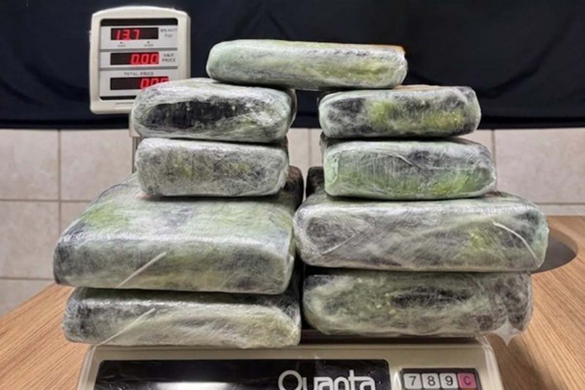 Polícia Federal apreende 13 kg de skunk no Aeroporto de Porto Velho