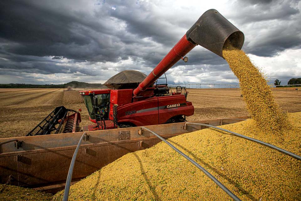 Projeção indica safra recorde de 261,9 milhões de toneladas, diz levantamento do IBGE