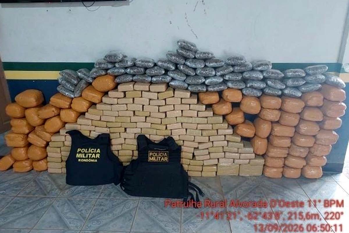 Polícia apreende cerca de 245 kg de maconha durante abordagem na BR-429
