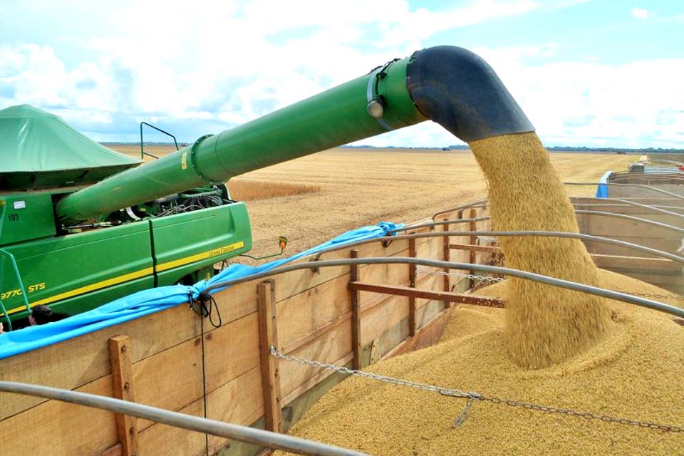 Rondônia deve produzir 1,2 milhões de toneladas de soja na safra 2019/2020