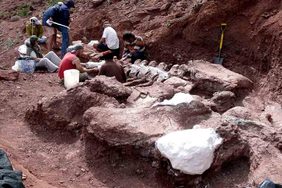 Titanossauro descoberto na Argentina é exemplar mais antigo da espécie