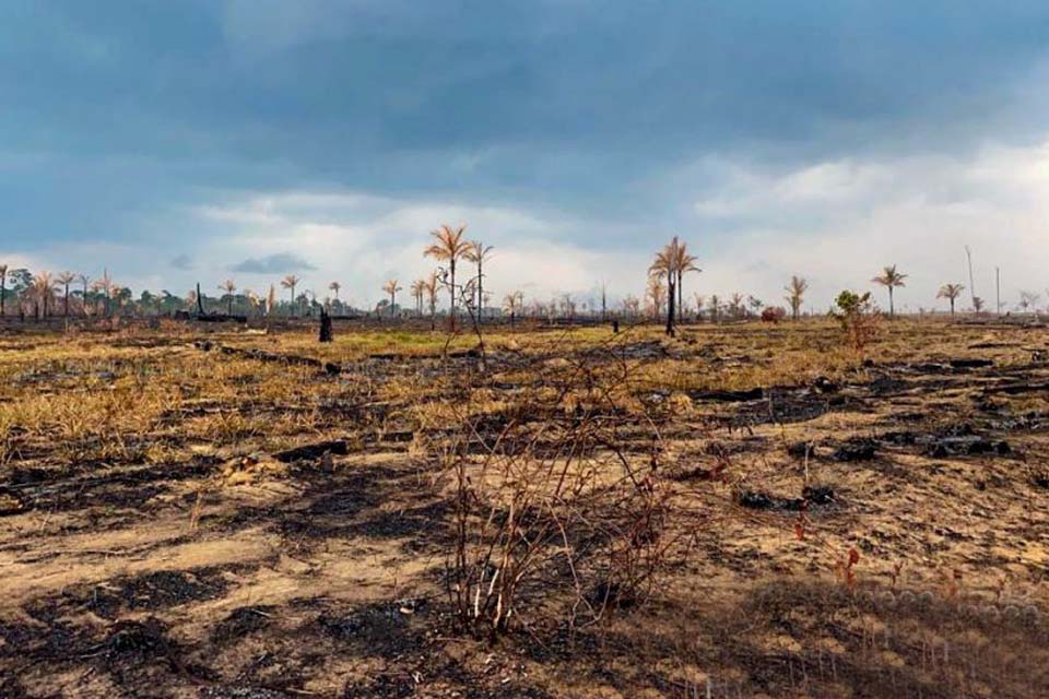 Sedam conscientiza municípios para a preservação do rio Guaporé e recupera área degradada 