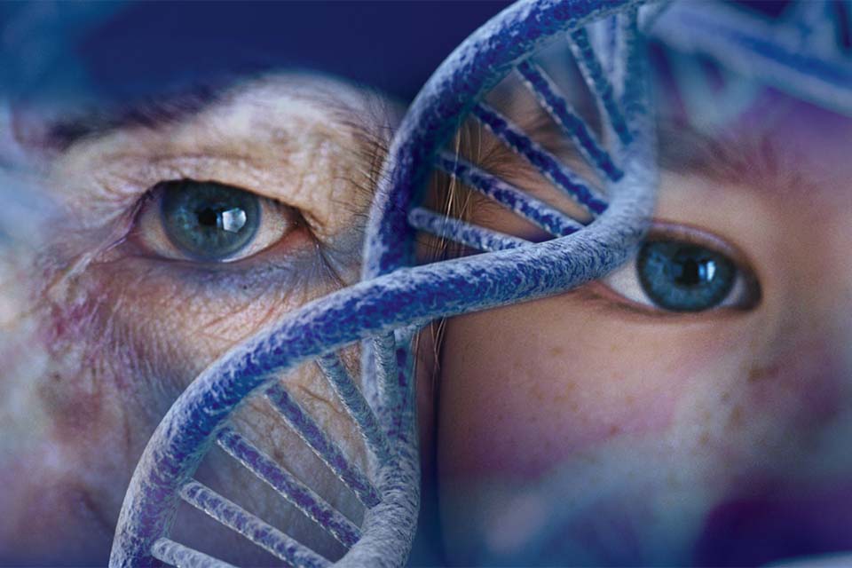 Cientistas descobrem como aumentar a longevidade de células em 82%, mostra estudo