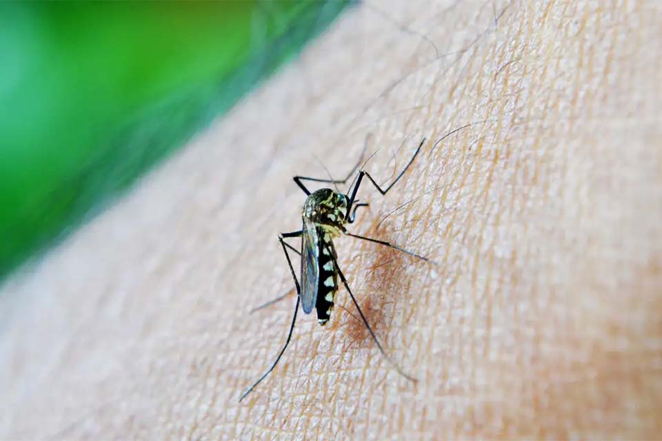 Epidemia de dengue faz Natal decretar emergência em saúde