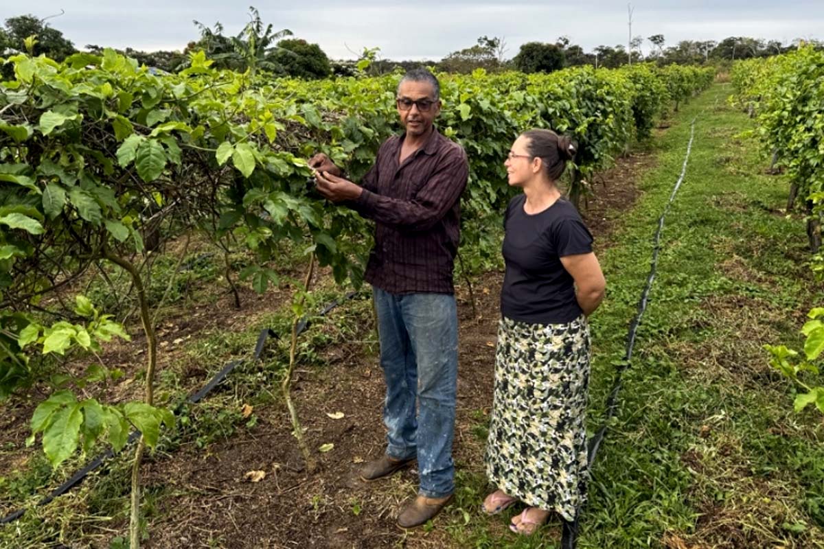 Alero no Agro: emenda garante regularização fundiária e transforma a vida de produtores rurais em Vilhena