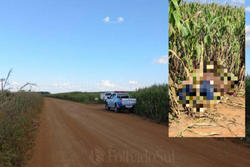 Corpo em decomposição é encontrado em lavoura de milho nos arredores de Vilhena