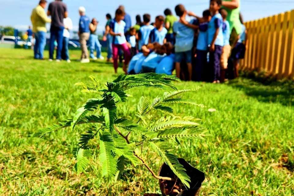Prefeitura de Ariquemes realiza ação de conscientização em comemoração ao Dia da Árvore
