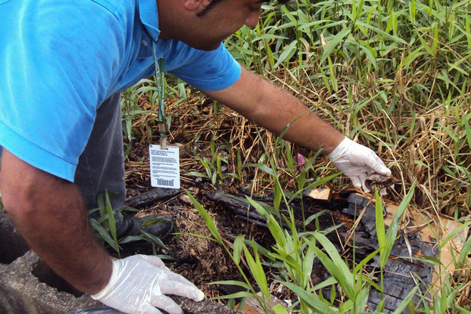 Prefeitura instrui moradores para o combate à proliferação de caramujos