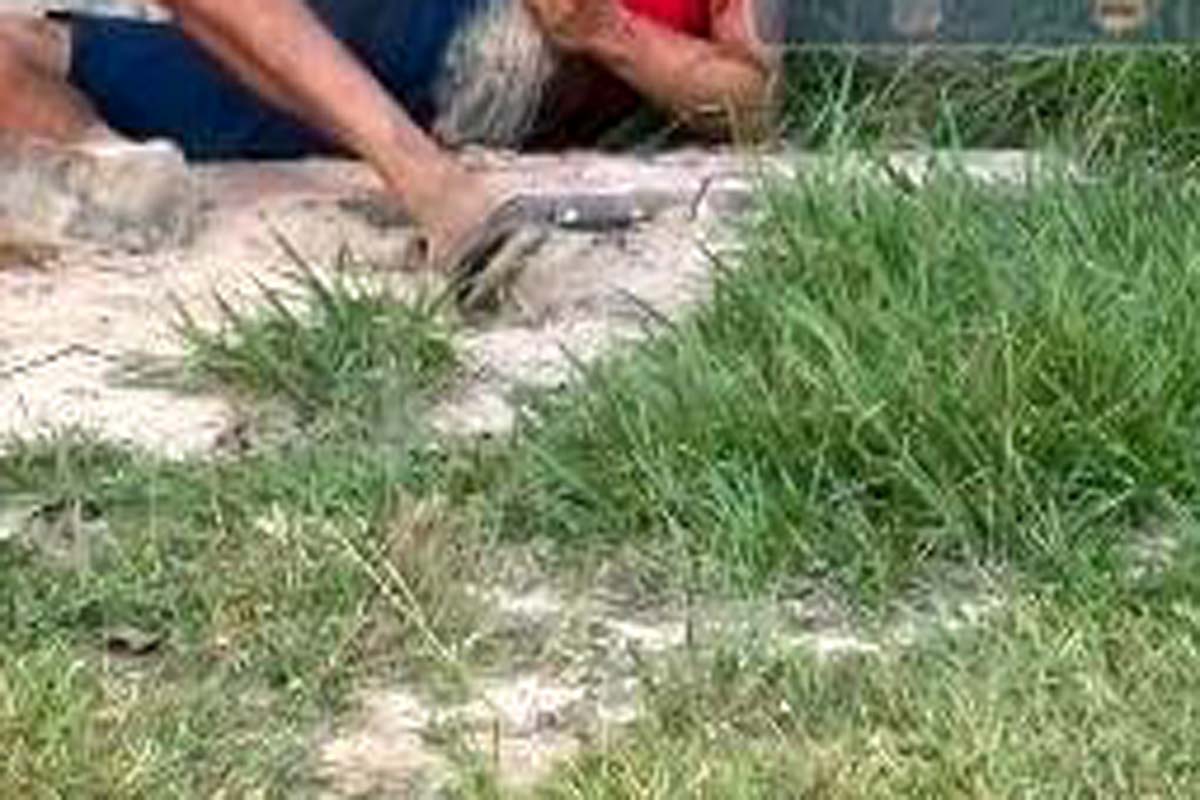  Homem é morto a facadas em sítio na zona rural de Chupinguaia